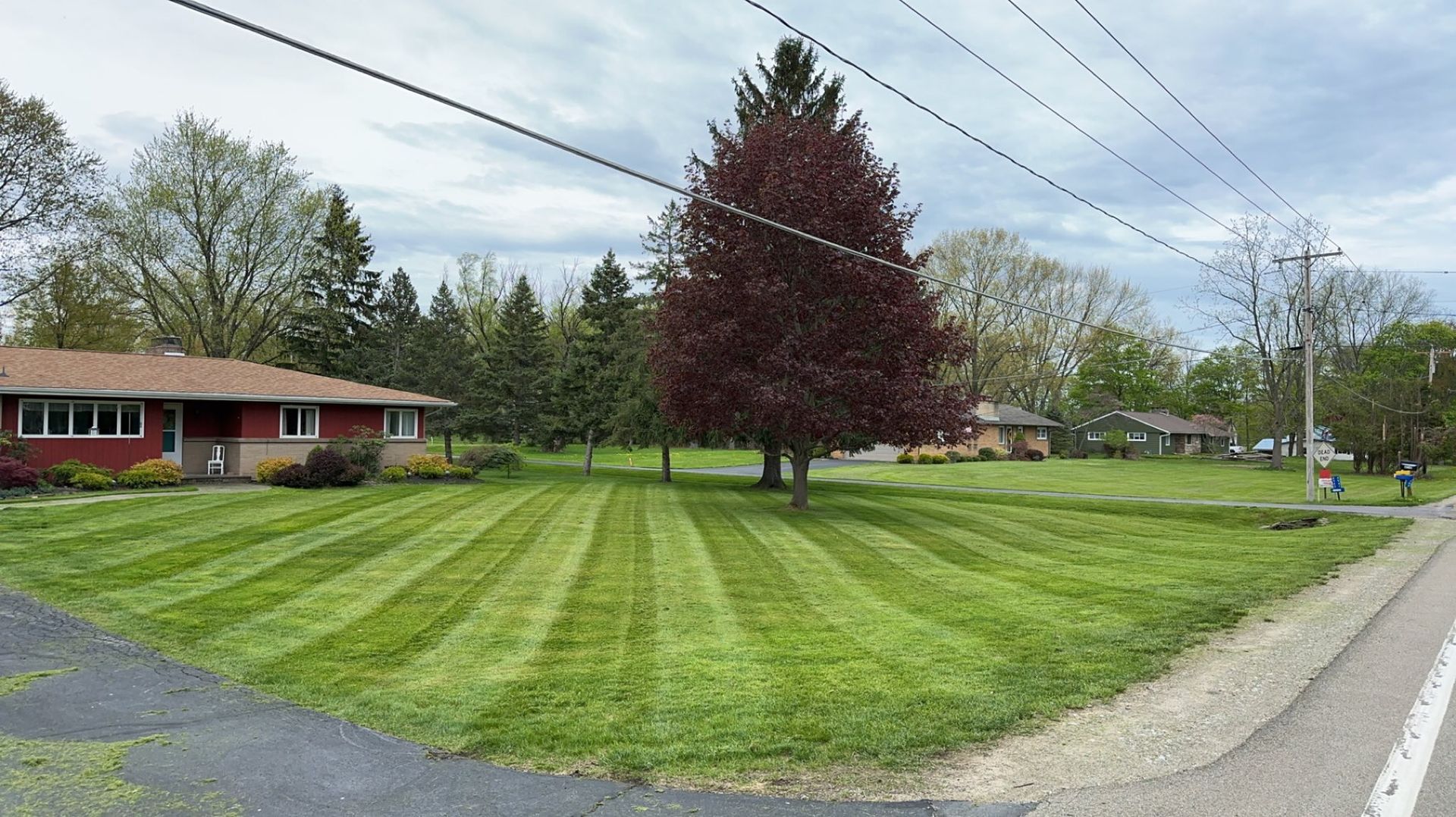 Lawn with striped grass, a red tree, houses, and power lines. View from a street with cloudy sky.