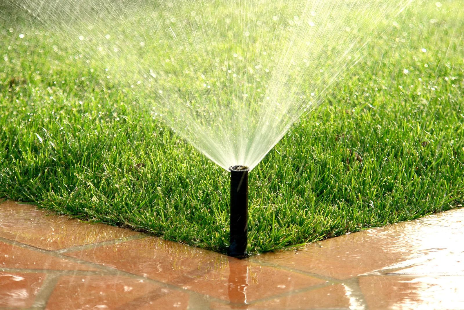 Sprinkler watering green lawn, water spraying over grass, next to brick pathway.