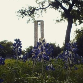 A tower with a bell on top of it is surrounded by blue flowers
