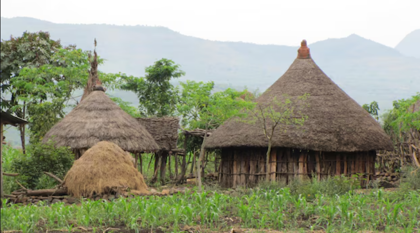 Traditional round huts with thatched roofs in a green field, mountains in background.