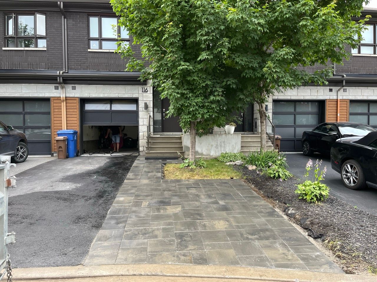 Rangée de maisons de ville avec portes de garage; arbre devant l'entrée, l'allée et les voitures.