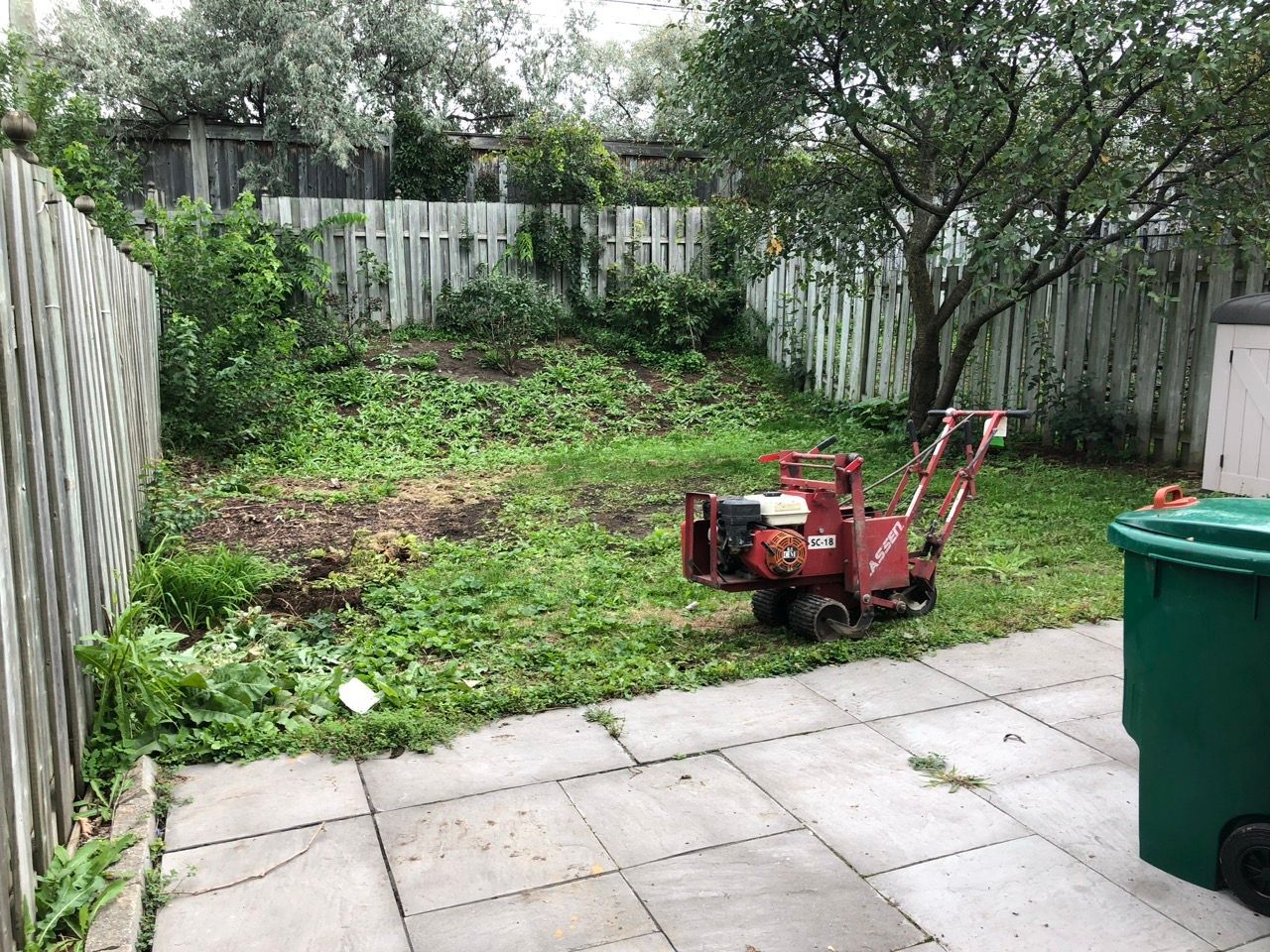 Arrière-cour avec pelouse, petit arbre et coupe-herbe à côté d'un patio pavé avec une poubelle verte.