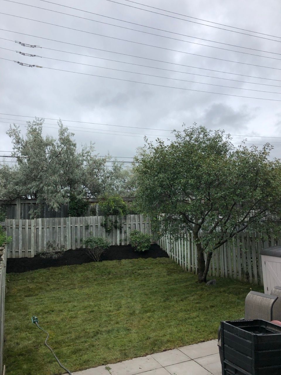 Pelouse verte dans une cour arrière bordée d'une clôture en bois, d'un petit arbre et d'un ciel couvert.