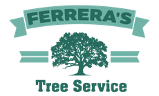 Tree Service in The Woodlands, TX | Ferrera's Tree Service