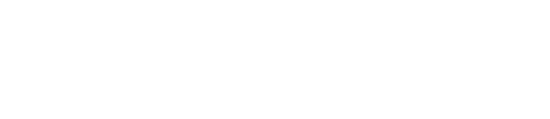 Net Powersafe Logo in weiss