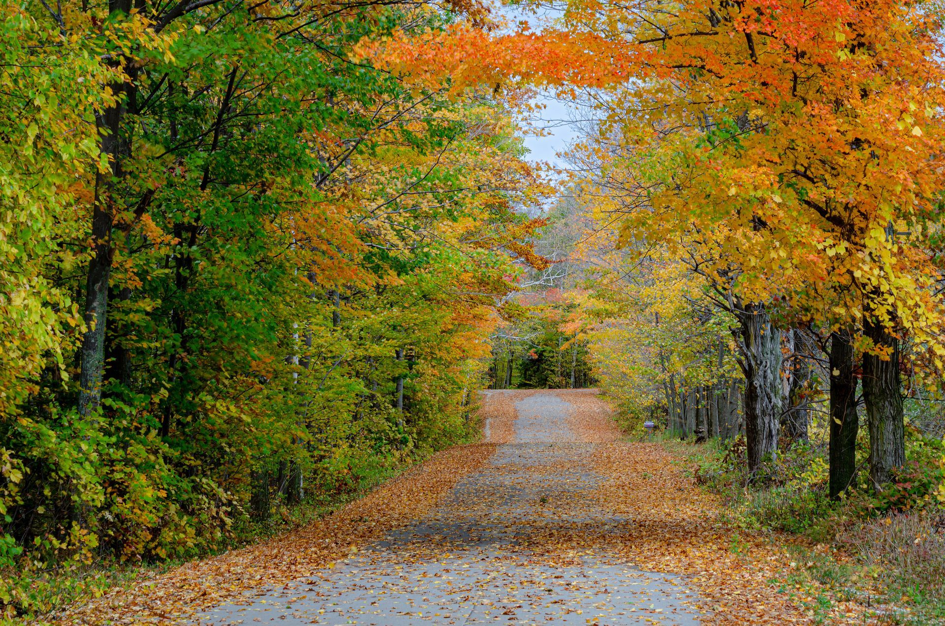 A sunset over a mountain range with a lot of fog