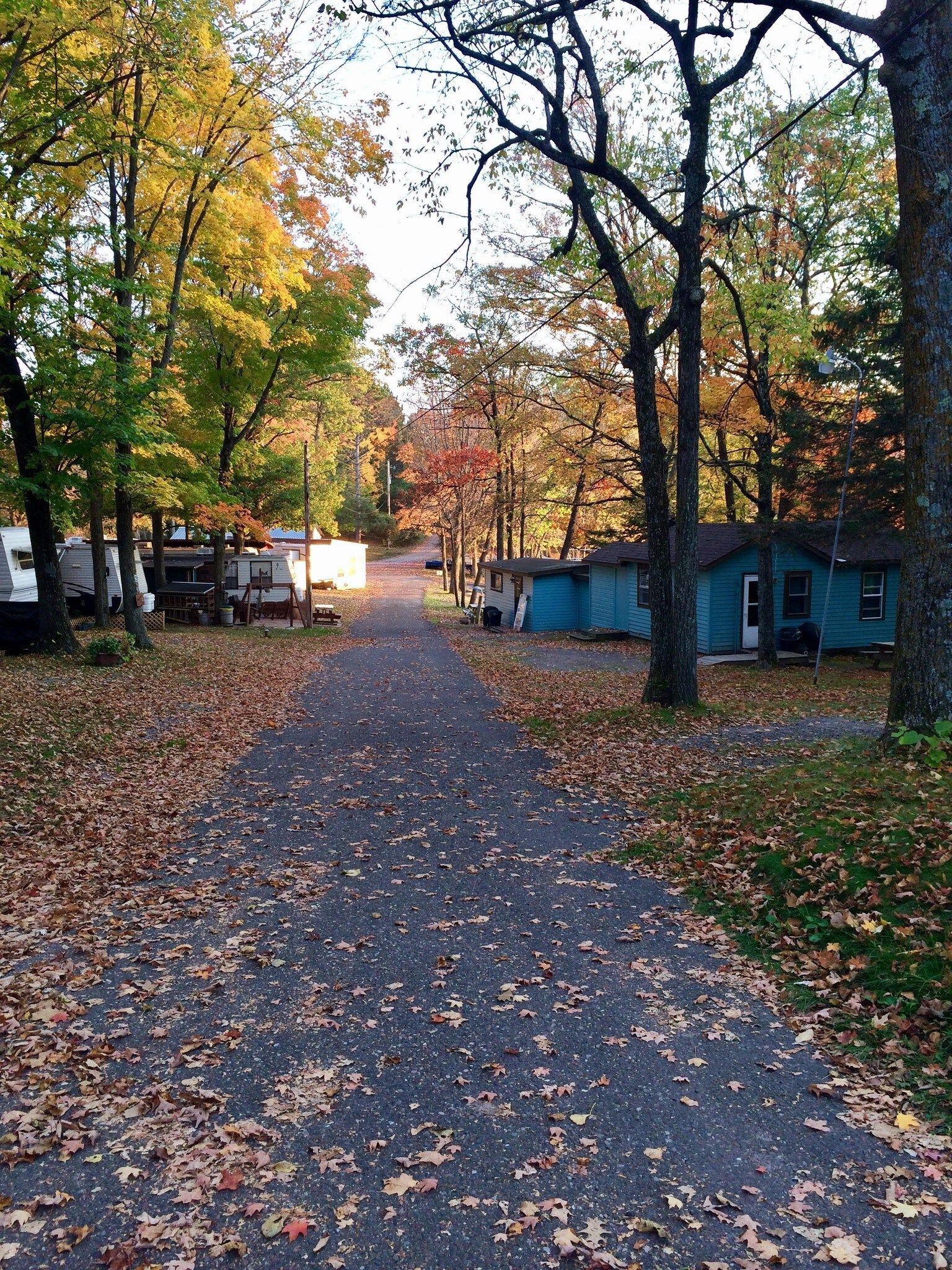 Leaf-covered road through autumn trees, with houses and a glowing light in the distance.