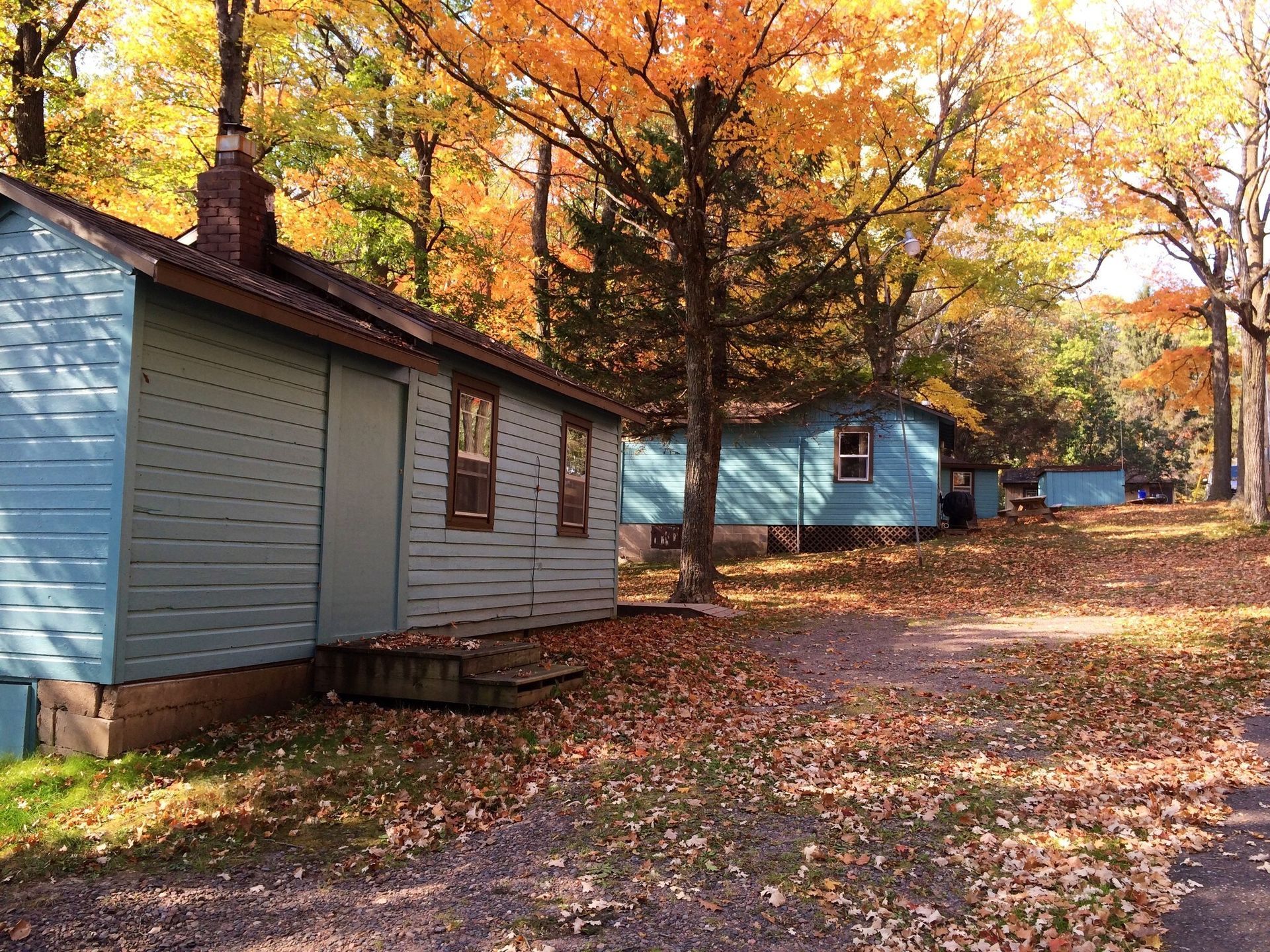 Autumn cabins along a leaf-covered path among colorful fall trees