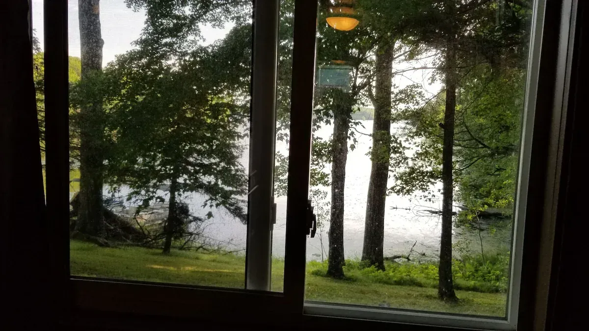 Wooded lakeside view through a window with dark tree trunks and green grass in the foreground