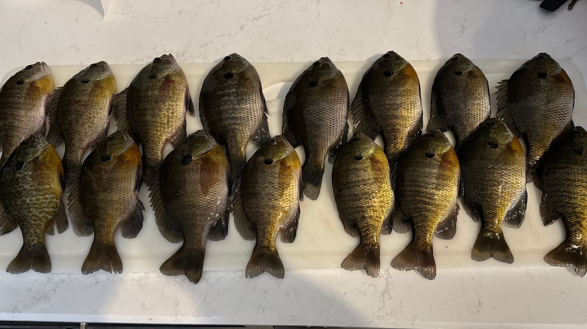 A sunset over a mountain range with a lot of fog