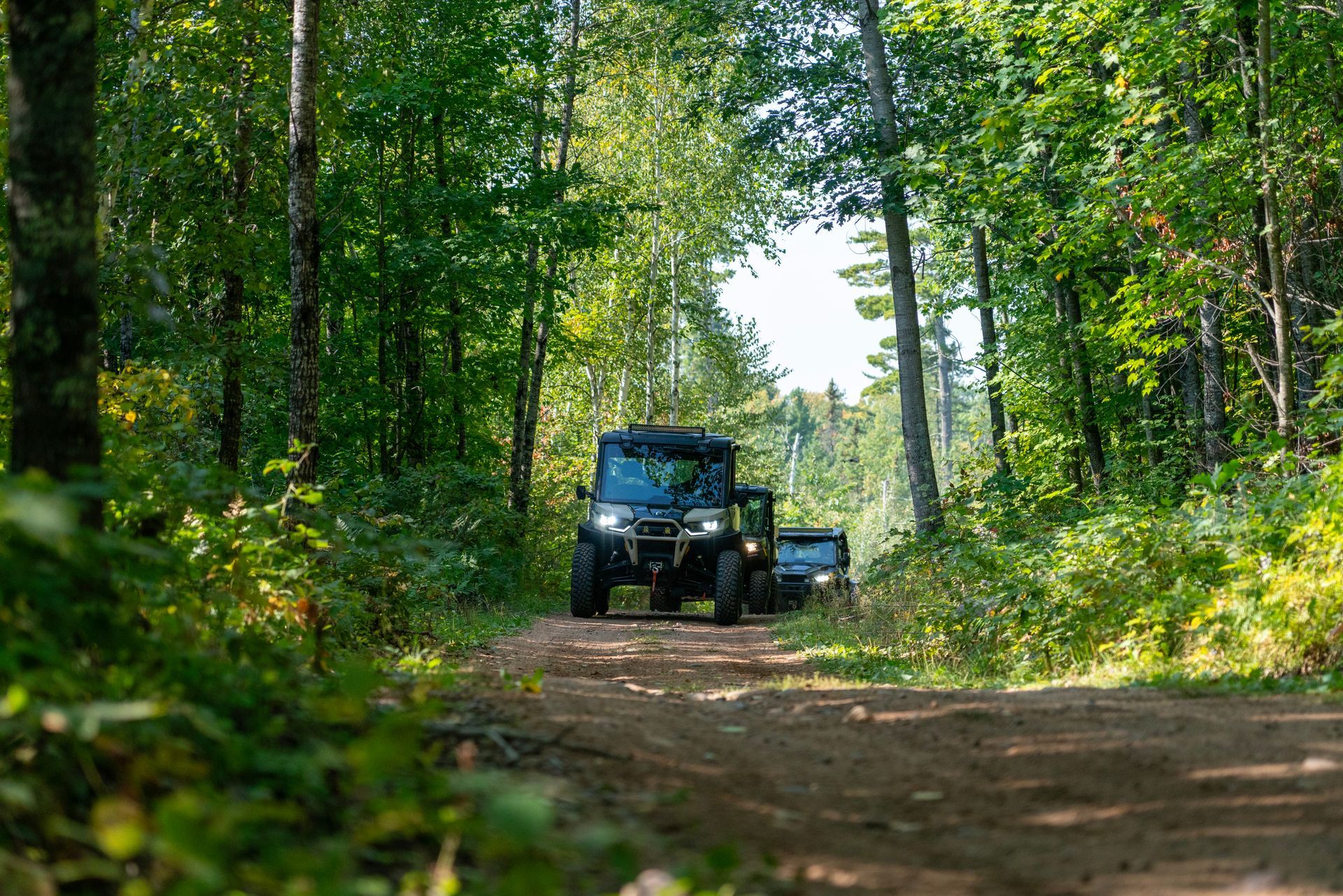 Two off-road vehicles on a dirt trail through a green forest, with sunlight filtering through the trees.