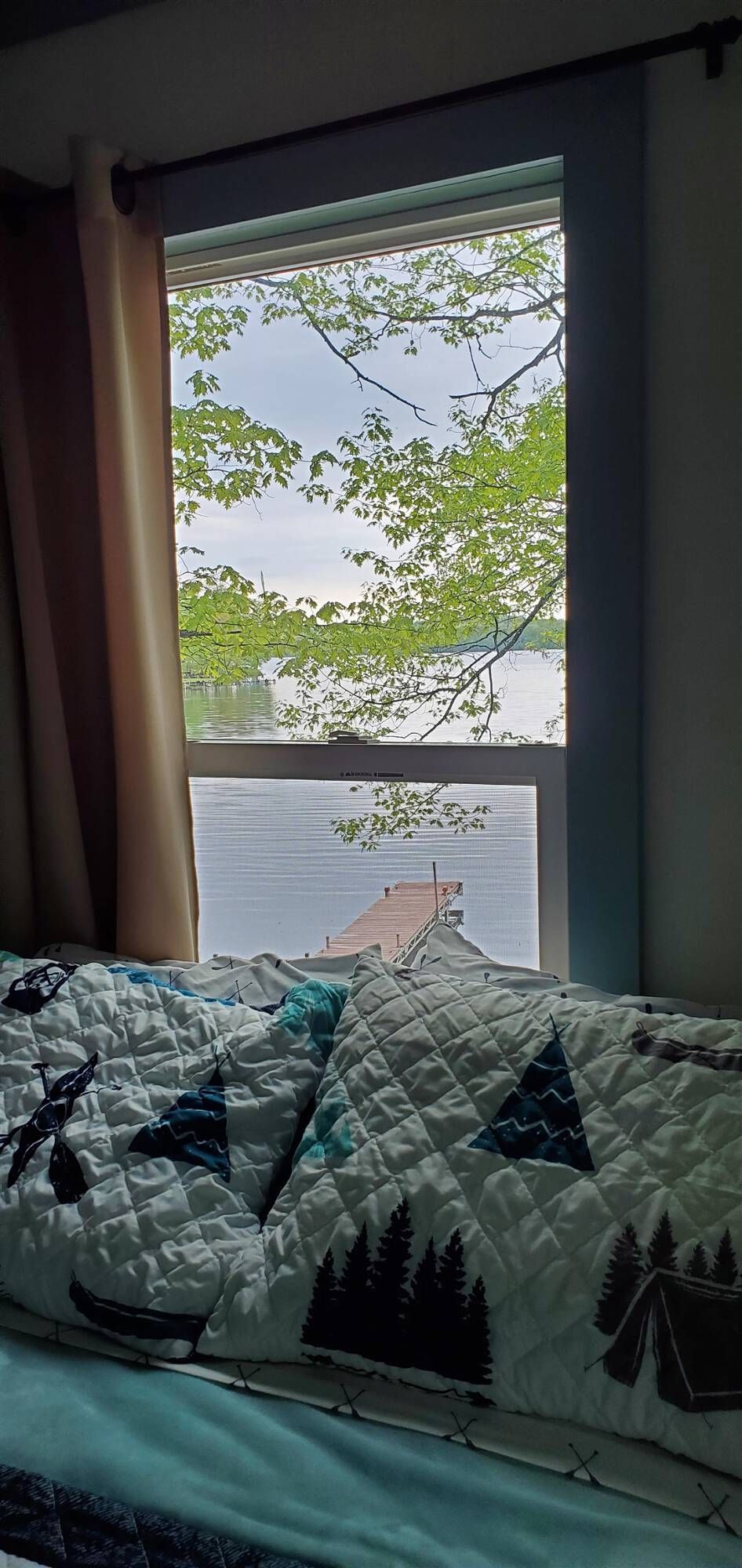 Bedroom window with leafy tree branches outside and a teal patterned comforter in the foreground