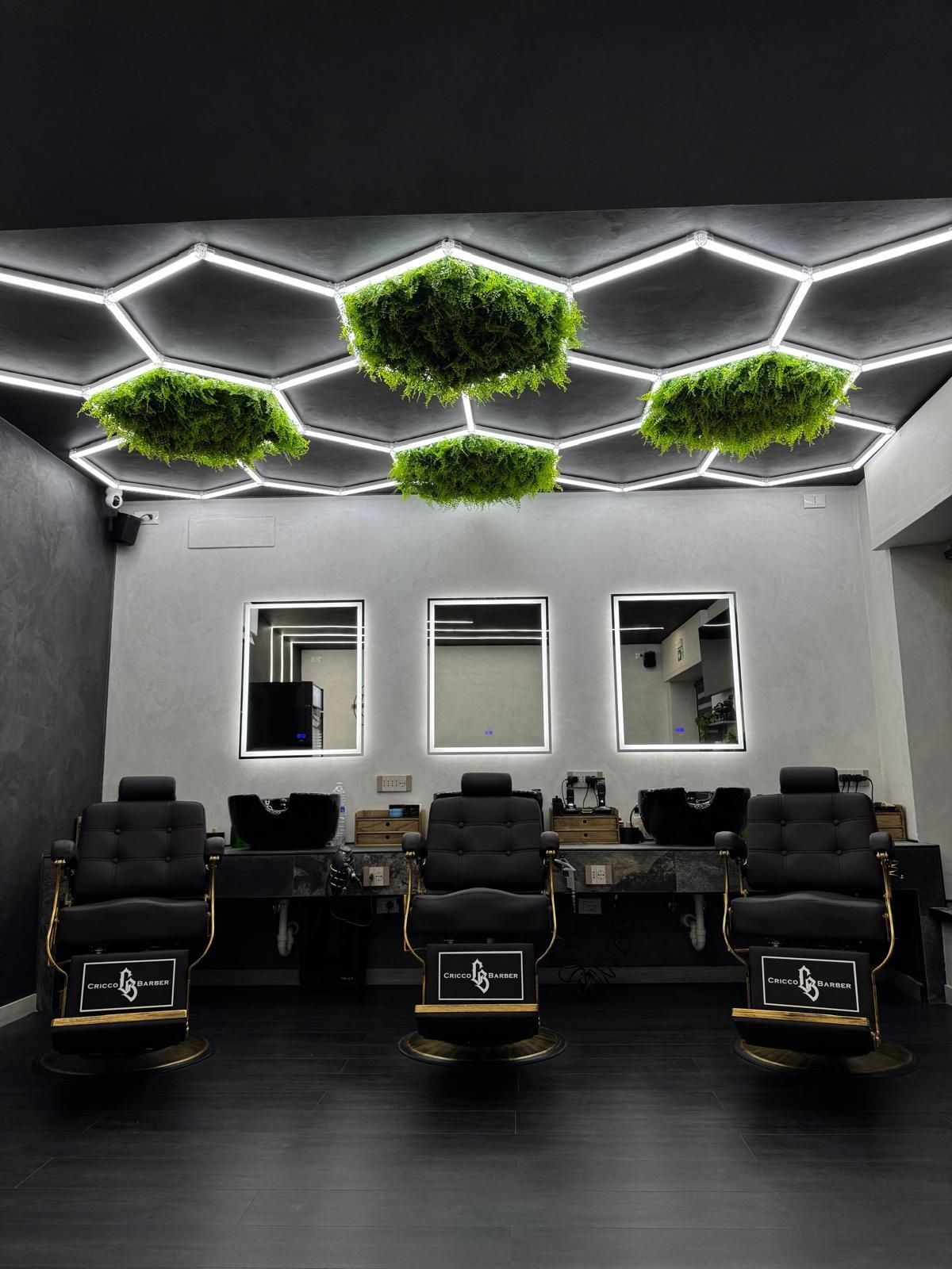 Interno di un barbiere con sedie nere, specchi e luci a nido d'ape sul soffitto con piante sospese.