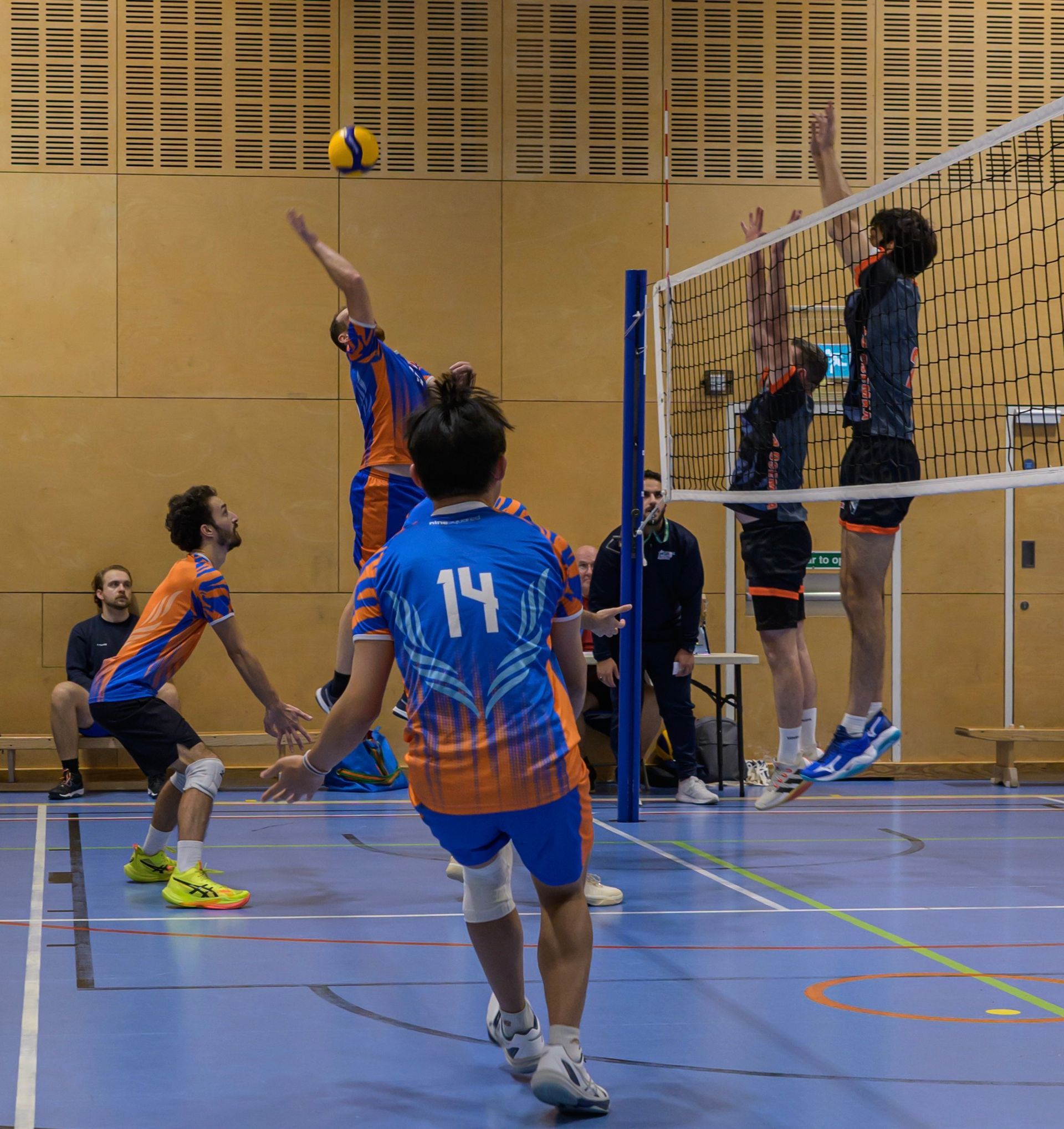 Ares vs Osemka (Div 1)