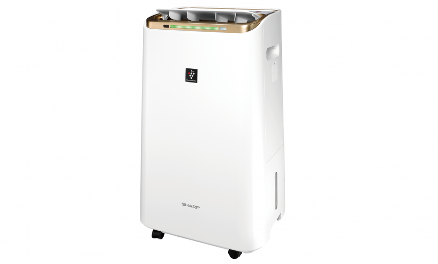 SHARP 夏普12公升 自動除菌離子2合1空氣清淨除濕機 DW-LT12FT-W