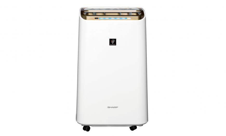 SHARP 夏普12公升 自動除菌離子2合1空氣清淨除濕機 DW-LT12FT-W