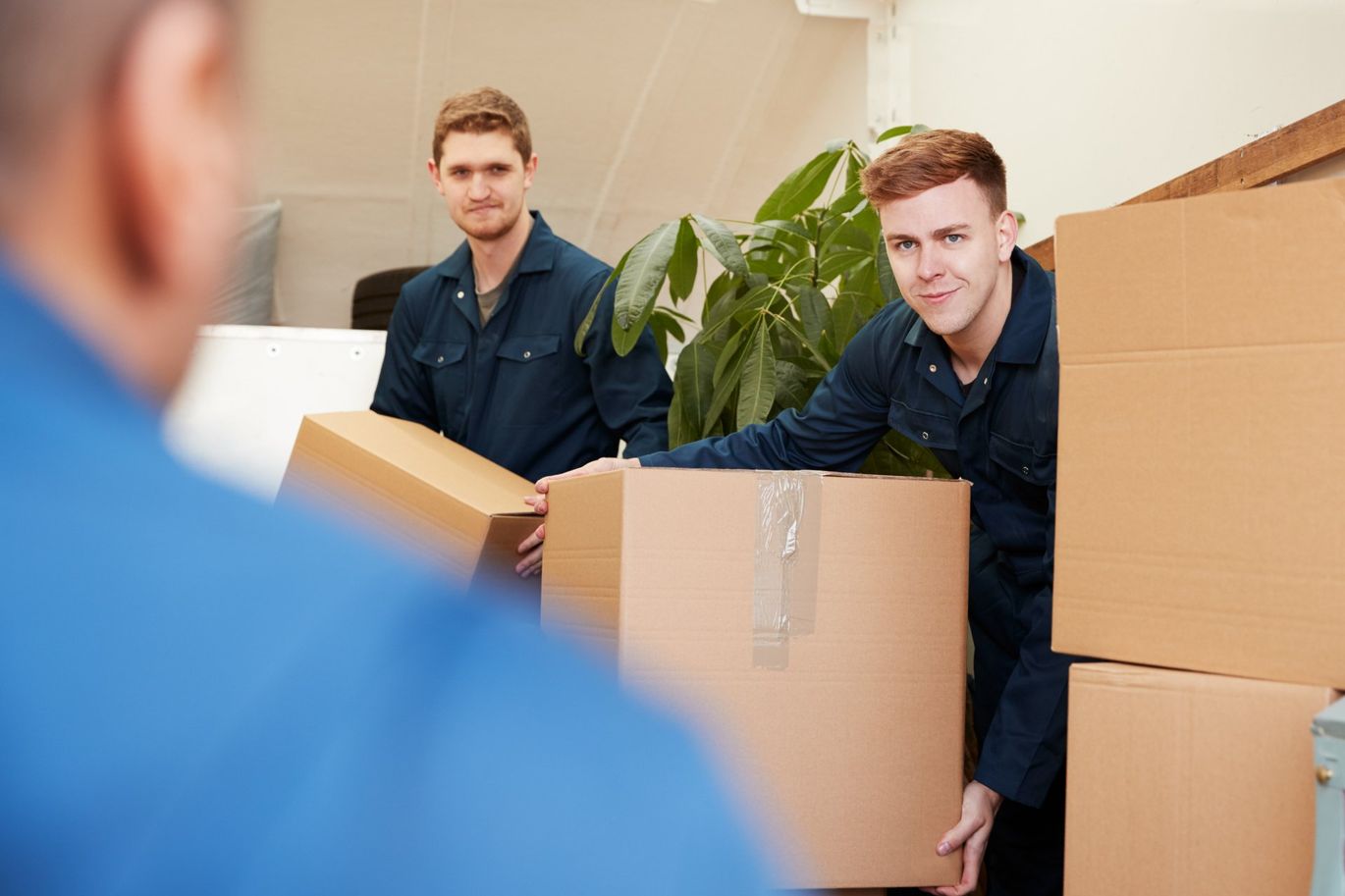 two movers delivering packed boxes