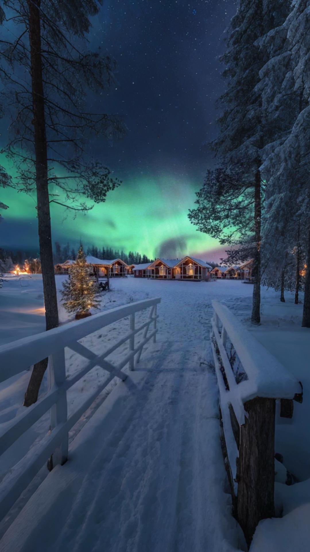 Lapland Northern Lights experience – stargazing, snowshoeing and Arctic night sky