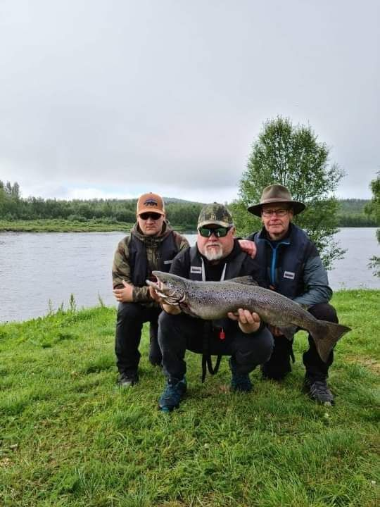 Lapland Northern Lights experience – stargazing, snowshoeing and Arctic night sky