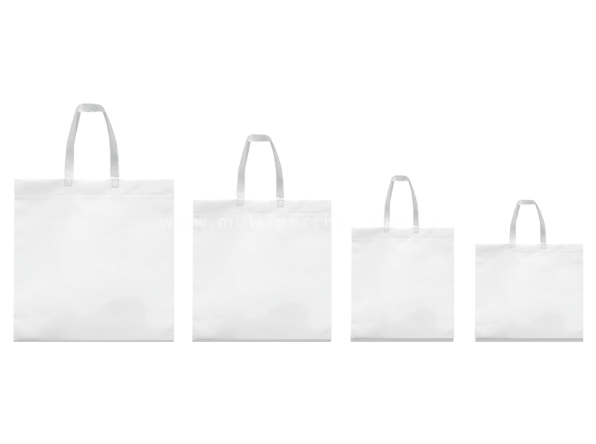 bolsa friselina