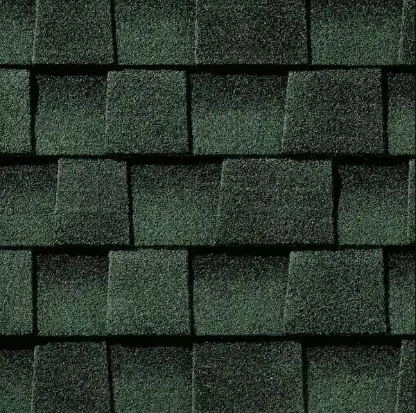 Dark green asphalt roof shingles.