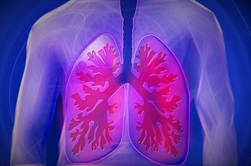 A close up of a person 's lungs on a blue background.