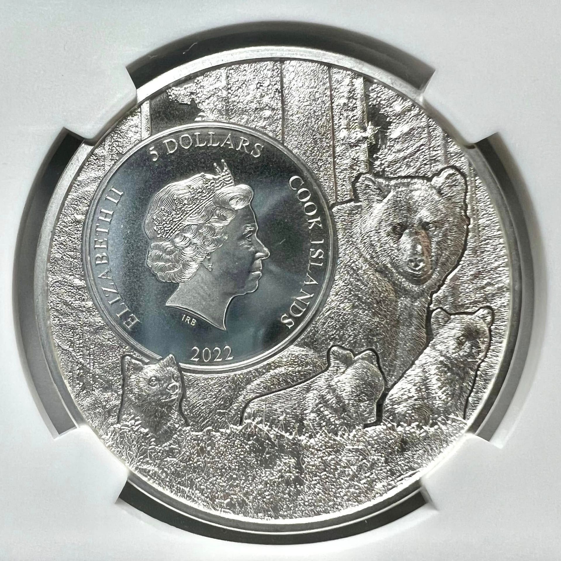 Close-up of a silver coin in a clear round holder, showing a profile portrait and textured design.