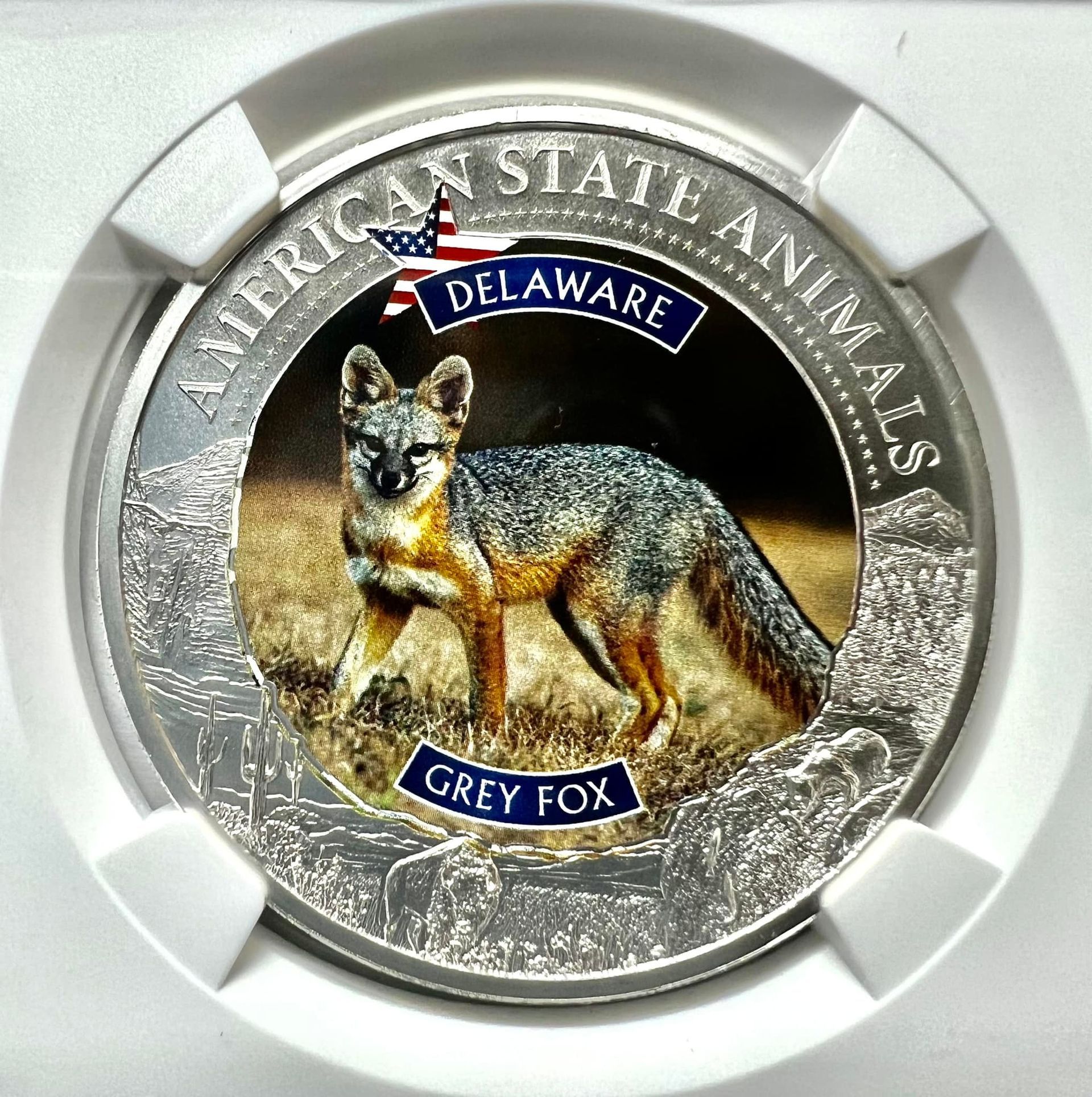 Silver coin depicting a grey fox, Delaware's state animal, set in a clear plastic holder.