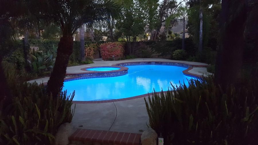 A large swimming pool is lit up at night surrounded by trees.