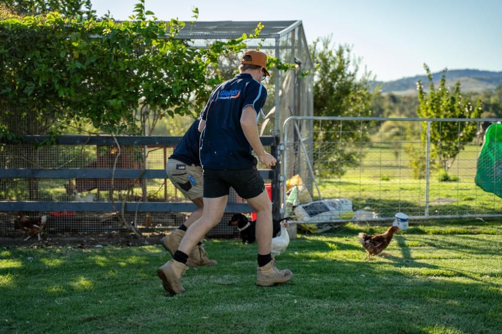 A Man is Running in a Field With Chickens and a Greenhouse in the Background — Wello's Plumbing & Gas In Thurgoona, NSW
