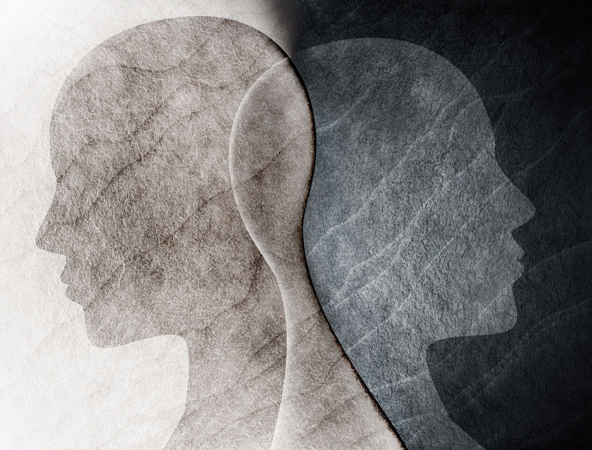 Two silhouetted profiles facing each other, split vertically by a pale shape; left side in grey and right side in dark blue.