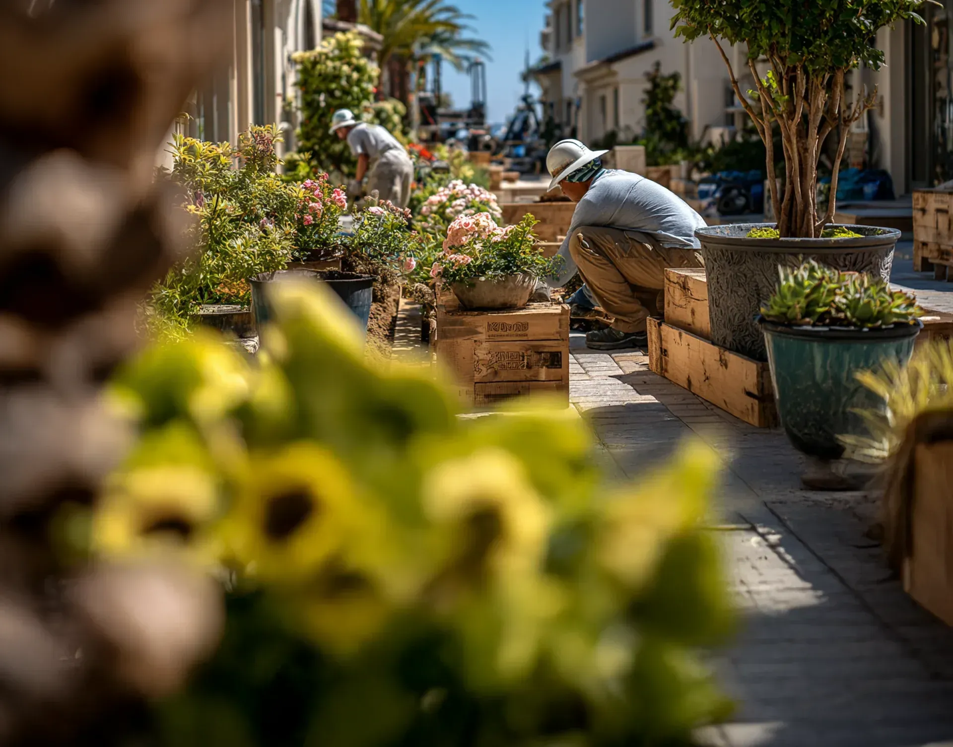 South Bay Townhome & Condo Owners Landscaping Upgrade