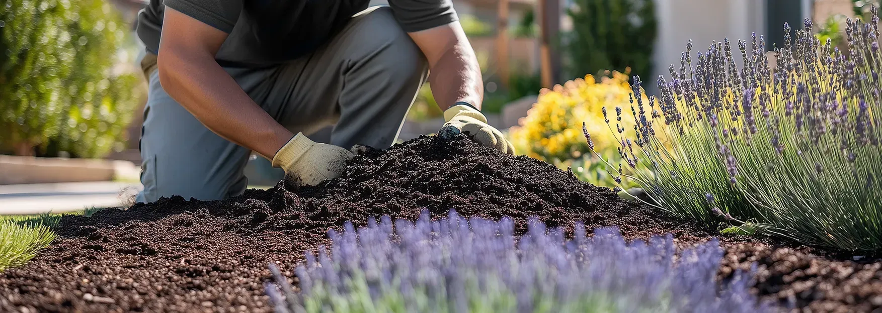 Cultivate Lush Soil for Plant Success, South Bay residents in the Torrance and Palos Verdes