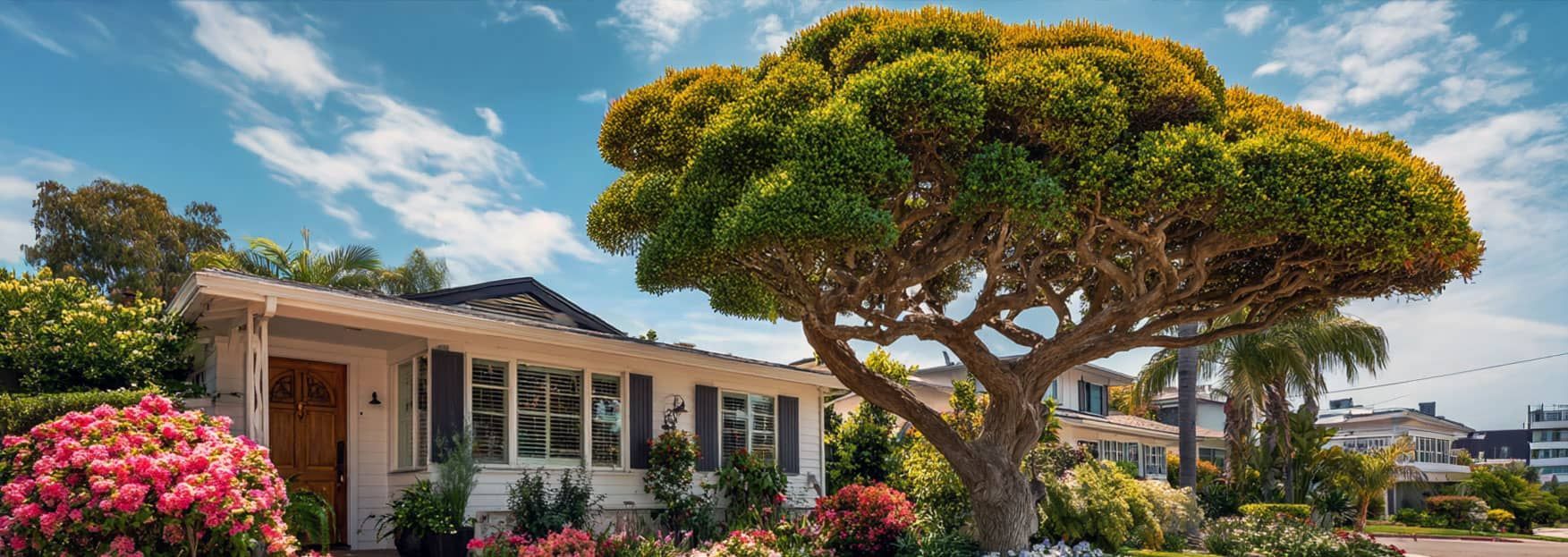 Cultivate Lush Soil for Plant Success,  South Bay residents in the Torrance and Palos Verdes