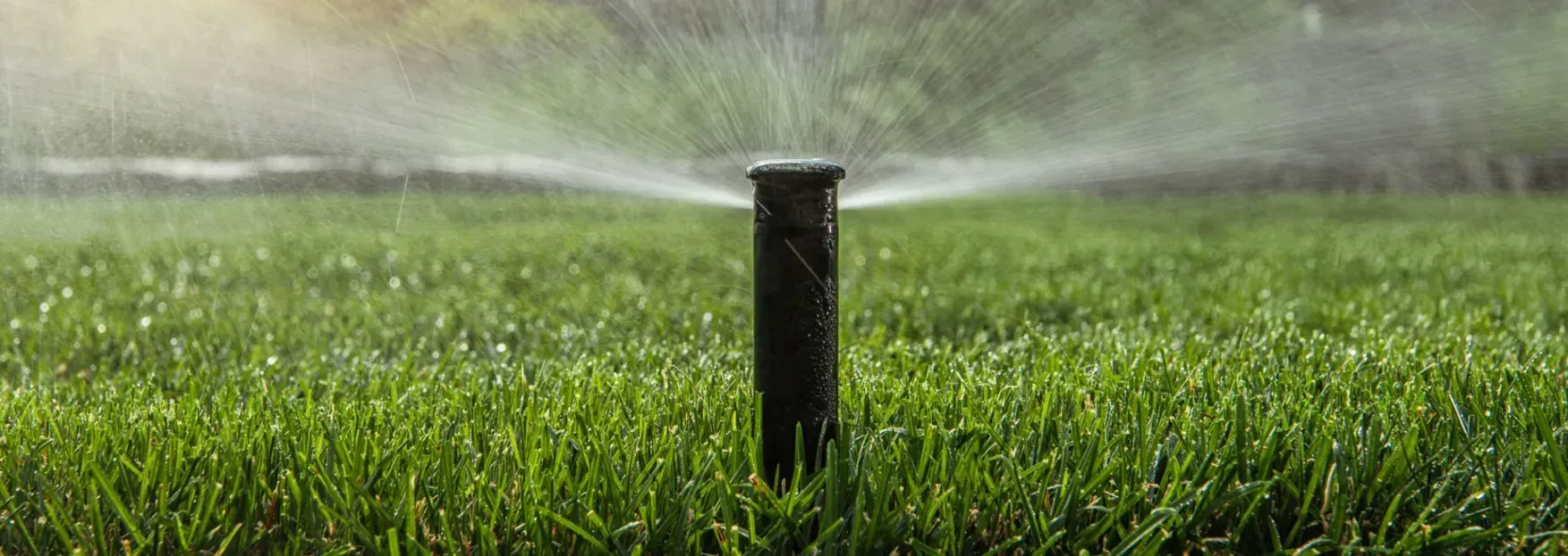 Save Water with Smart Irrigation, South Bay residents in the Torrance and Palos Verdes