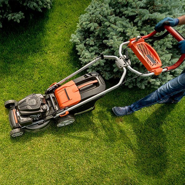 A person is mowing a lush green lawn with a lawn mower.