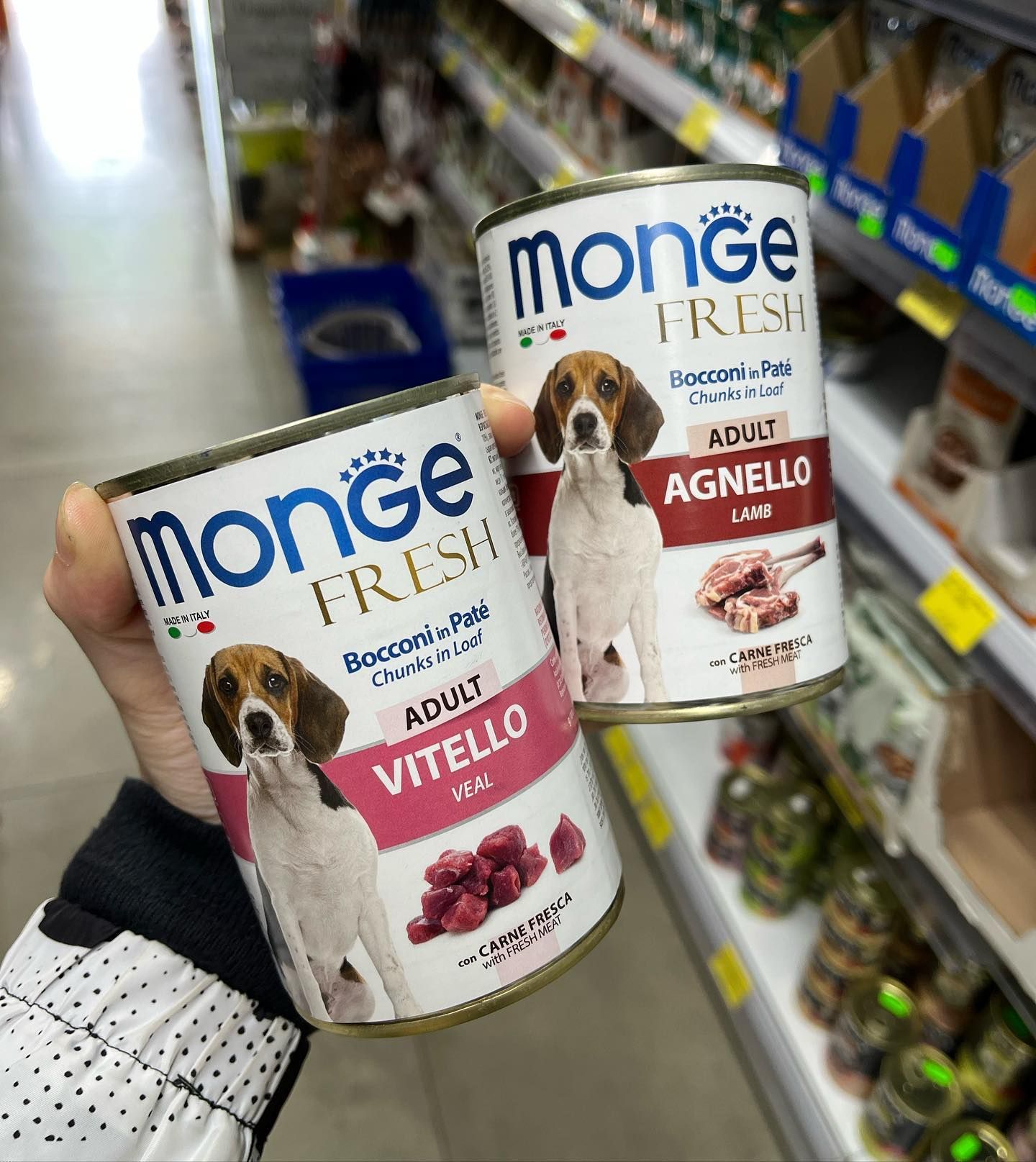 cibo in scatola per cani di media taglia Monge