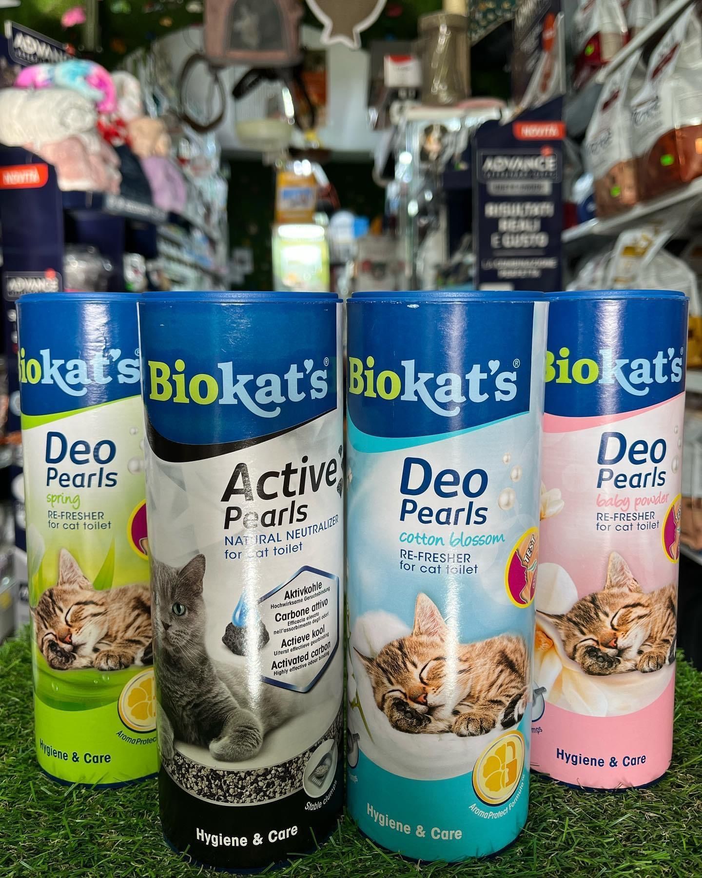 sabbietta per lettiera per gatti