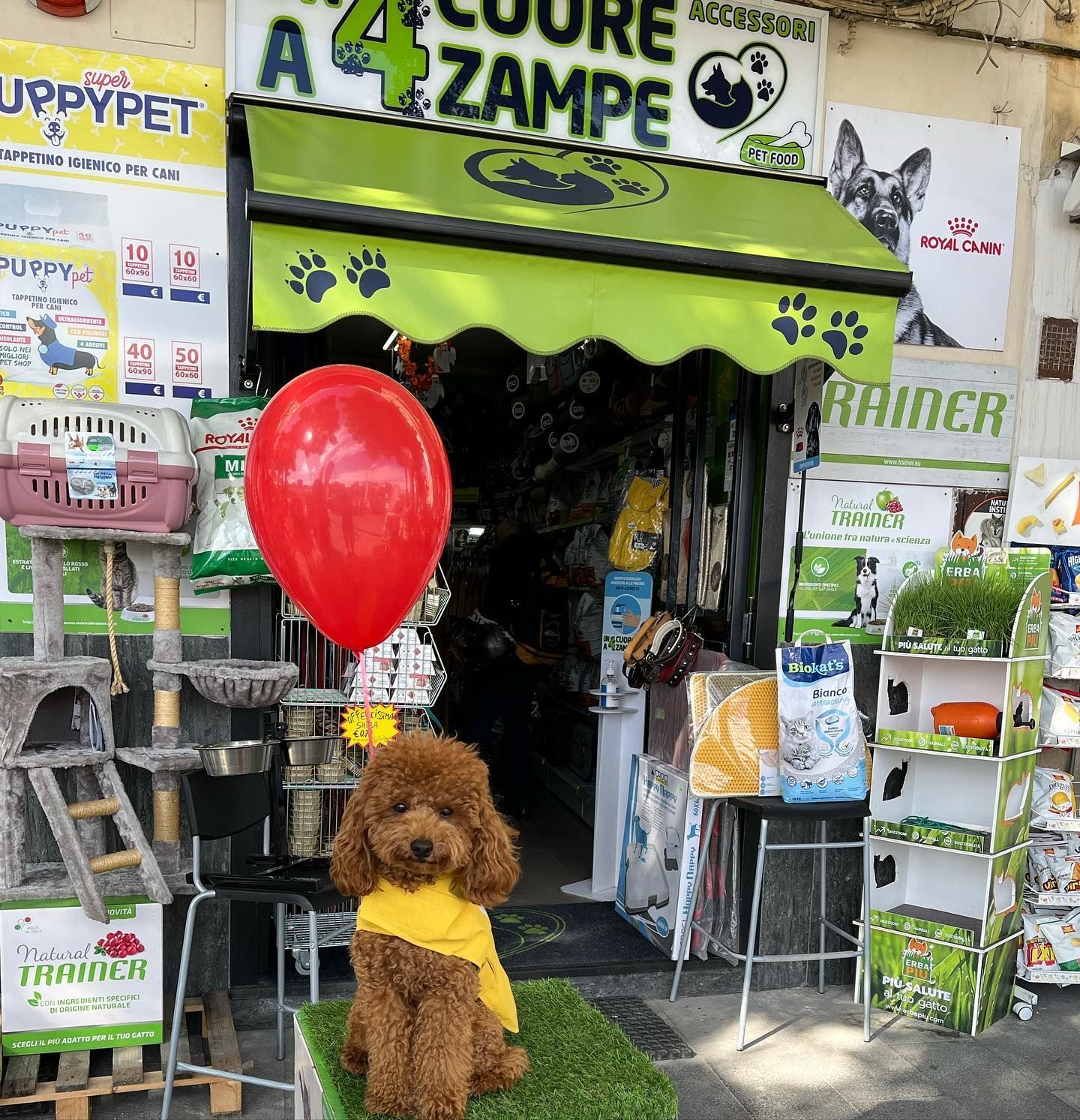 negozio per animali Un cuore a 4 zampe