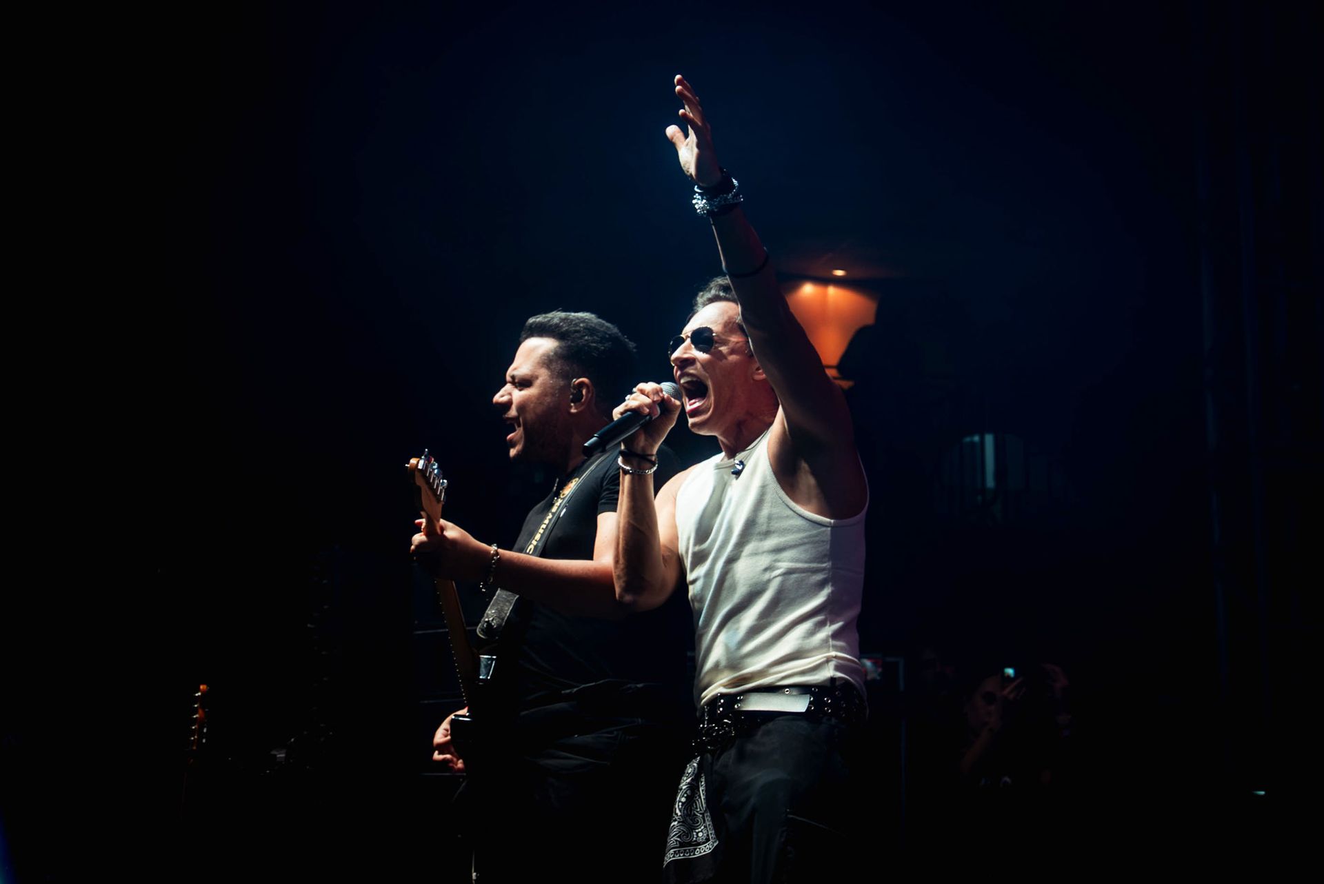 Dois músicos em um palco escuro; um canta em um microfone com o braço levantado, enquanto o outro toca um baixo.