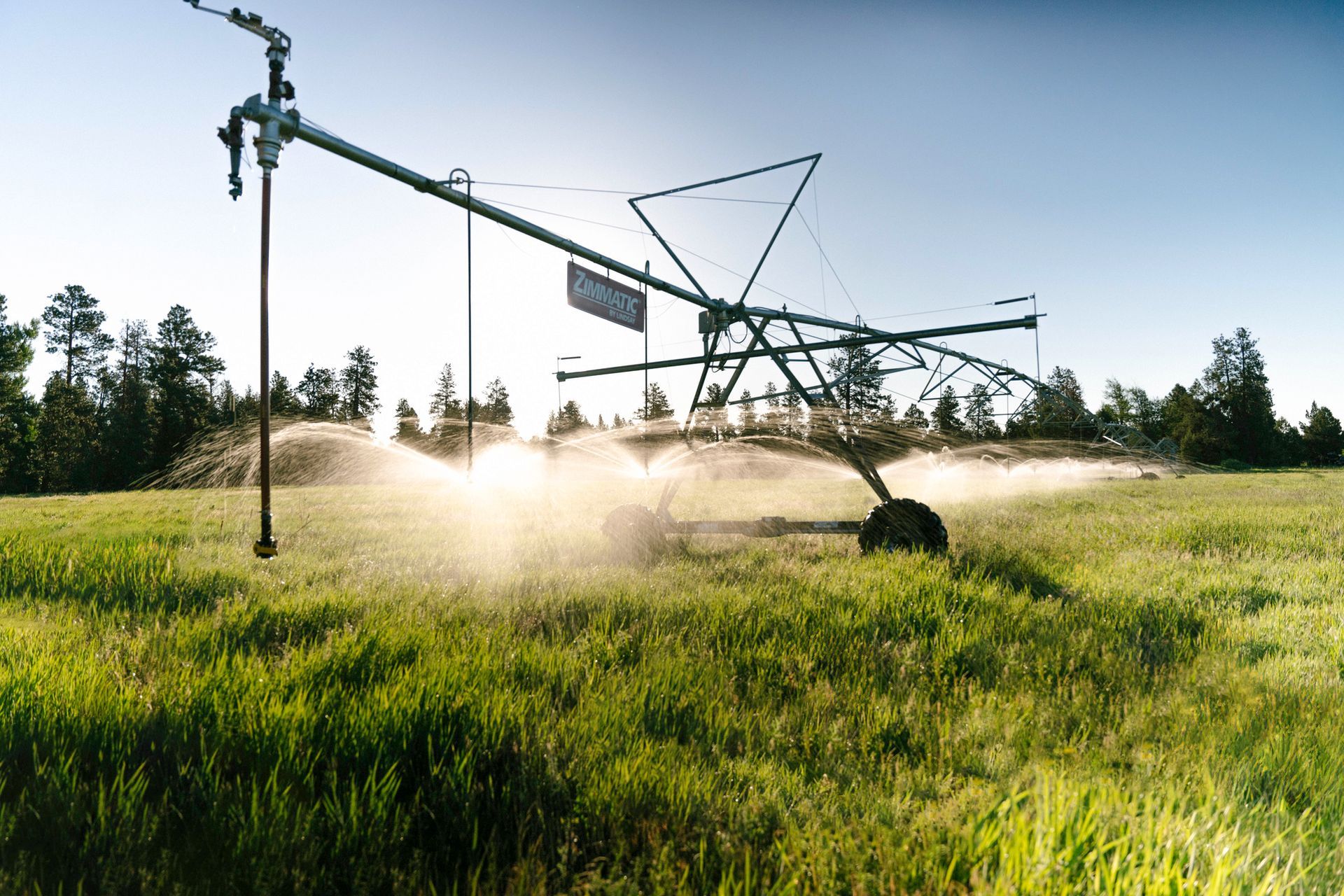 A center-pivot irrigation system waters a vibrant green field against a bright, hazy sky and forest background.