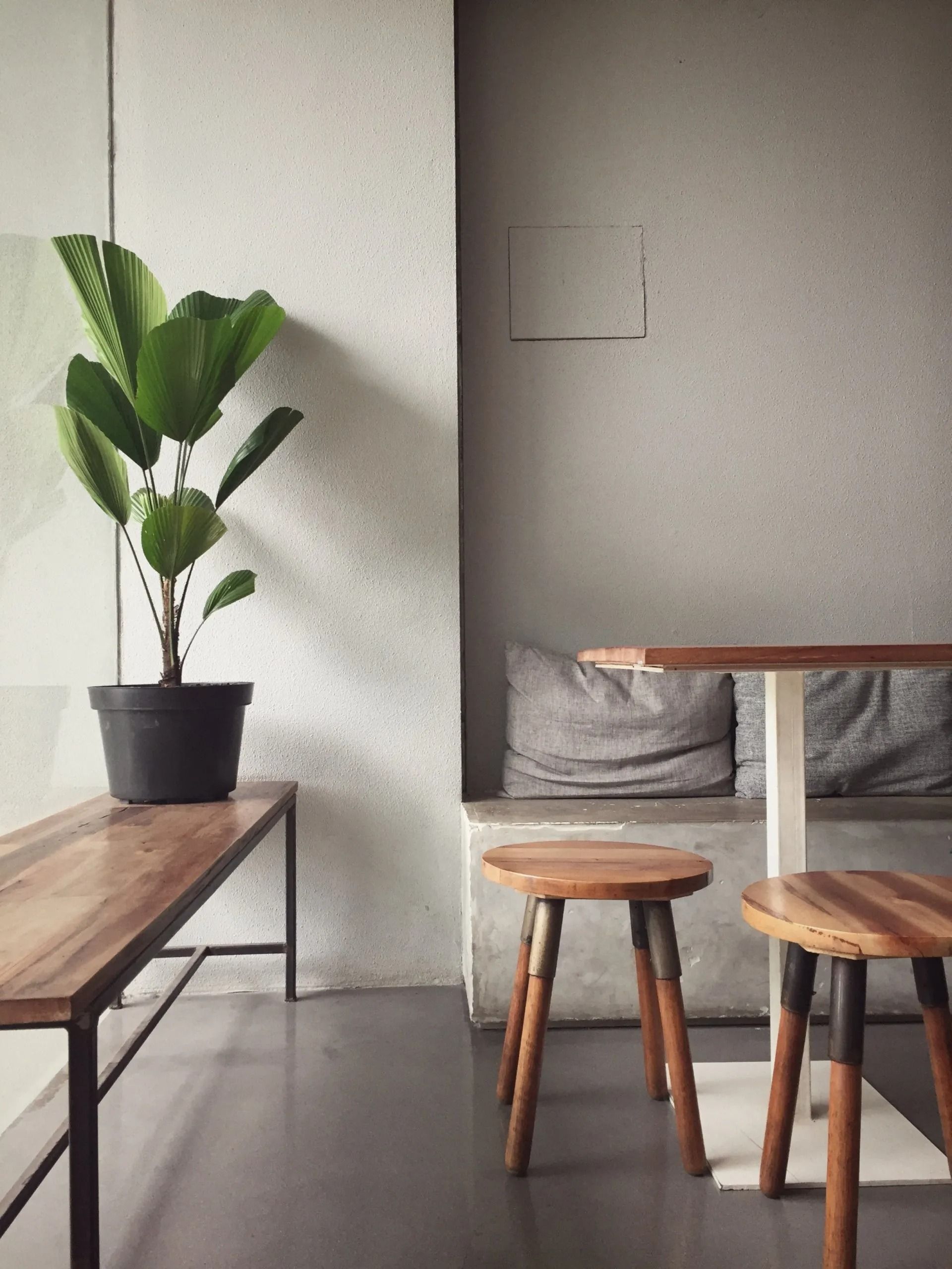 A minimalist cafe corner with a potted plant on a wooden bench, a small table, two wooden stools, and gray wall seating.
