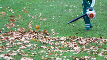 Person using a leaf blower to clear autumn leaves from a grassy lawn.
