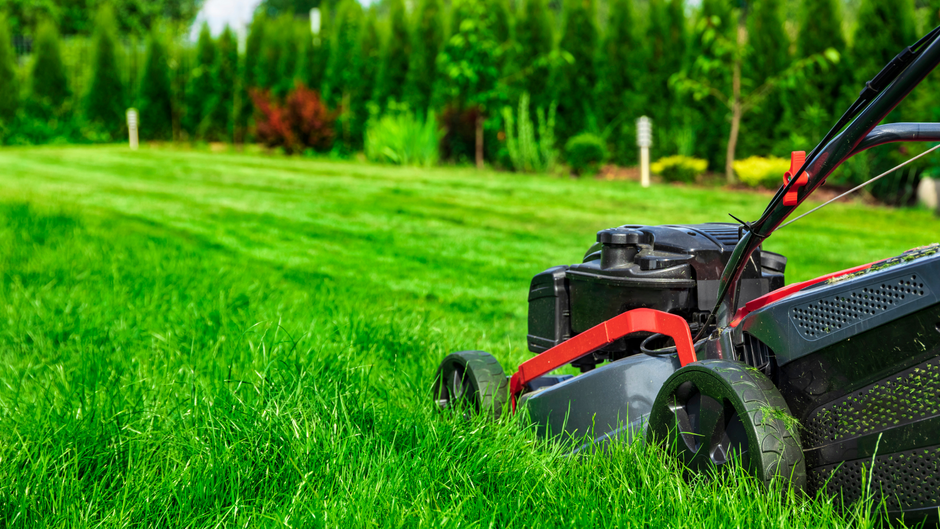 Red lawn mower cutting bright green grass on a sunny lawn with trees in the background