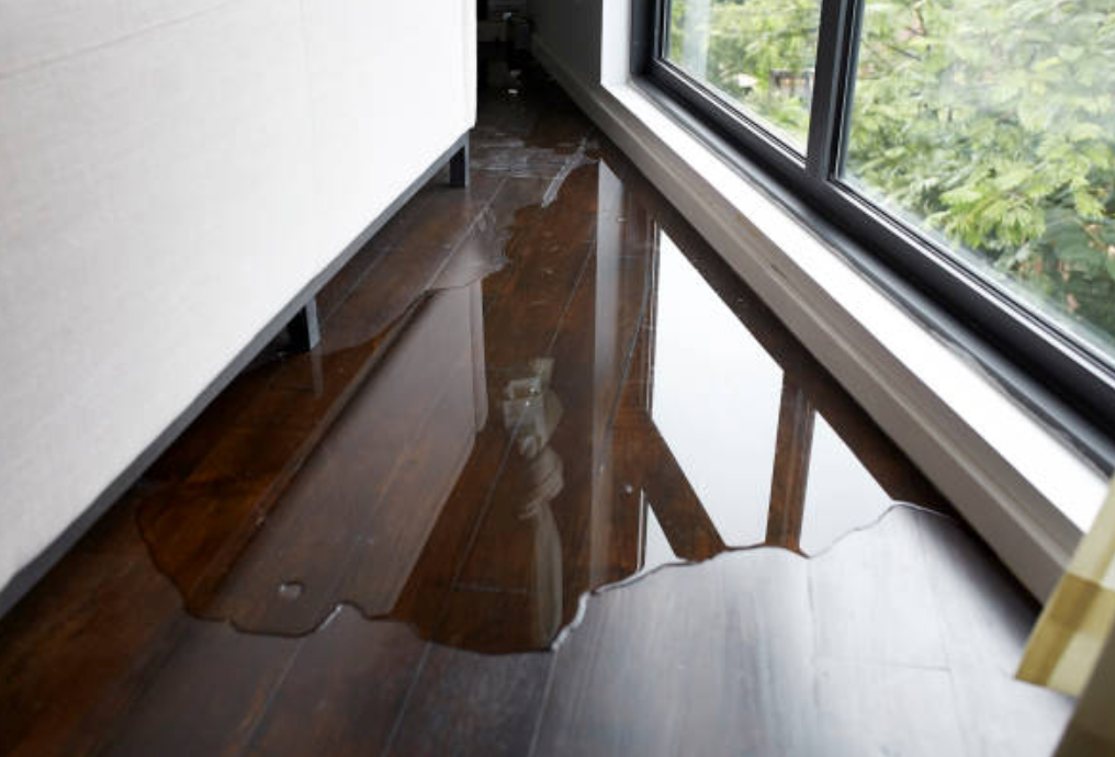 Water damage Ogden, Utah