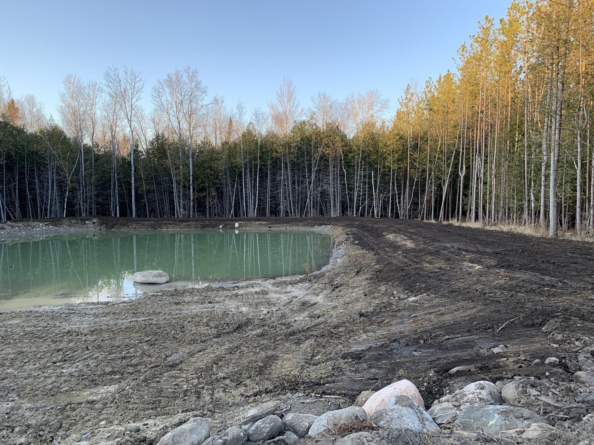 A small pond in the middle of a forest with trees in the background.