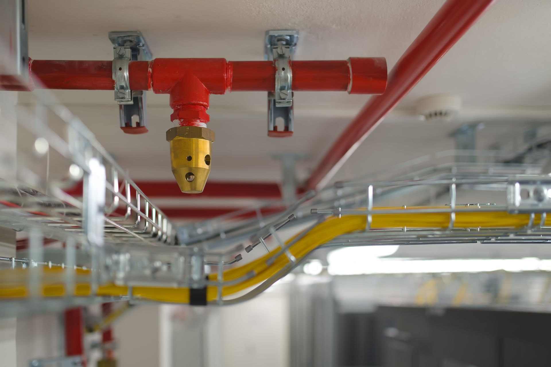 Fire sprinkler head mounted on a red ceiling pipe above cable trays and wiring in a facility. Fire sprinkler head mounted on a red ceiling pipe above cable trays and wiring in a facility.