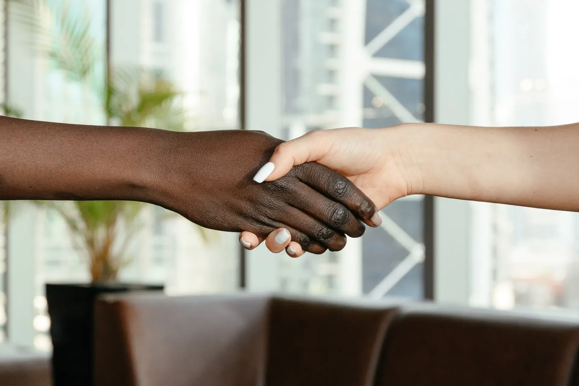 women shaking hands