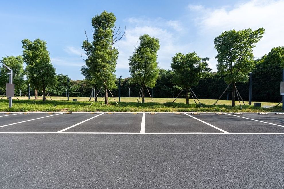 Empty parking lot with white lines, bordered by green trees under a blue sky.