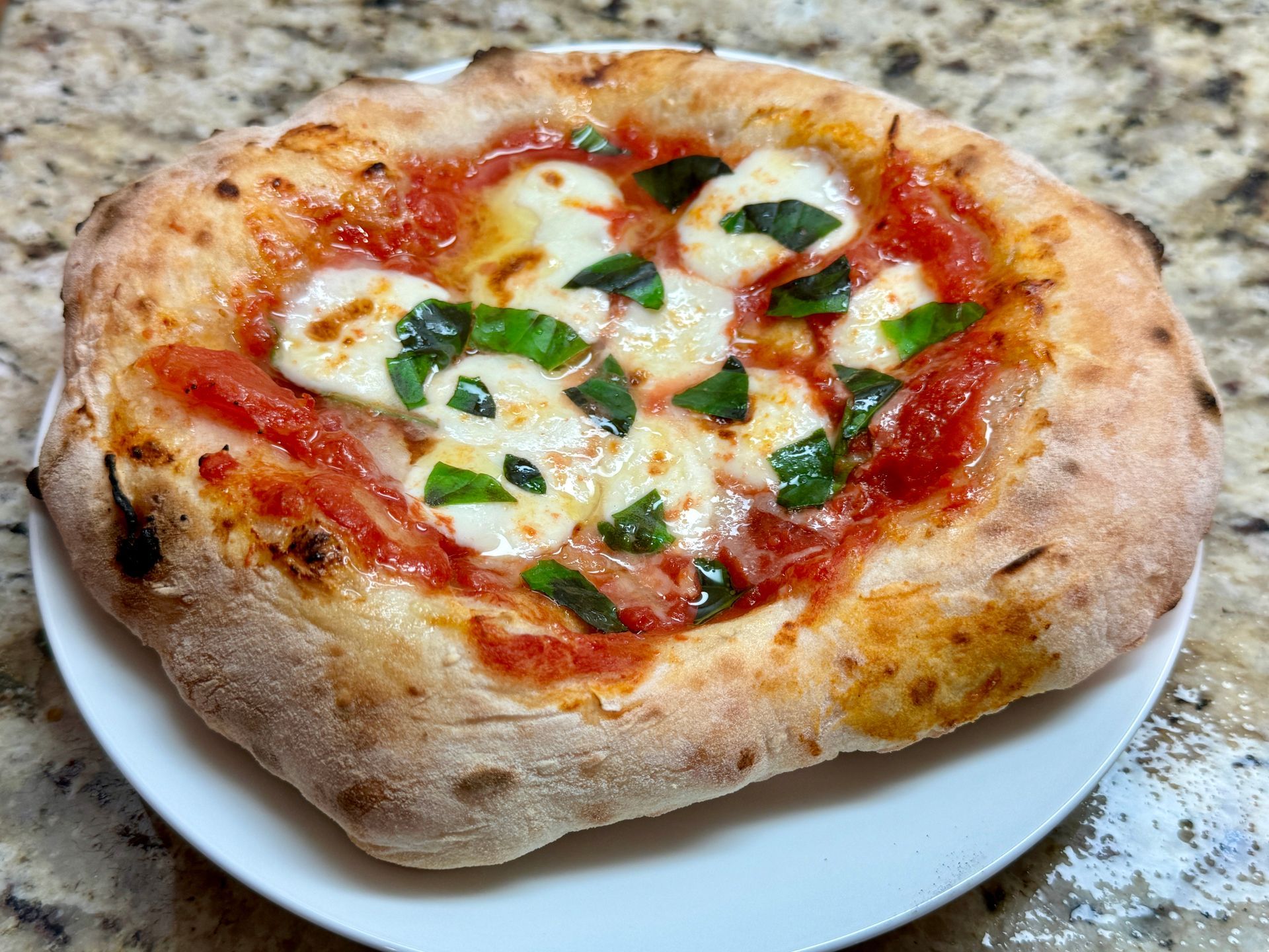 Margherita Pizza